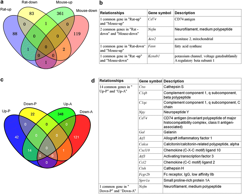 Figure 7