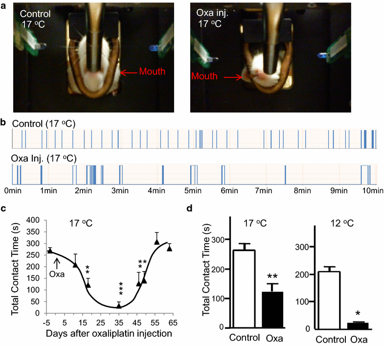 Fig. 4