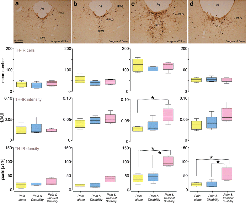 Fig. 3