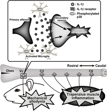 Fig. 7