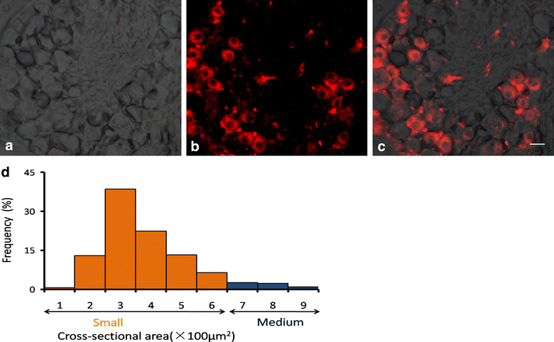 Fig. 3