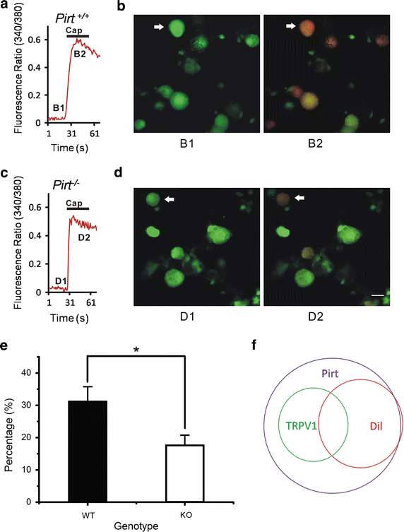 Fig. 5