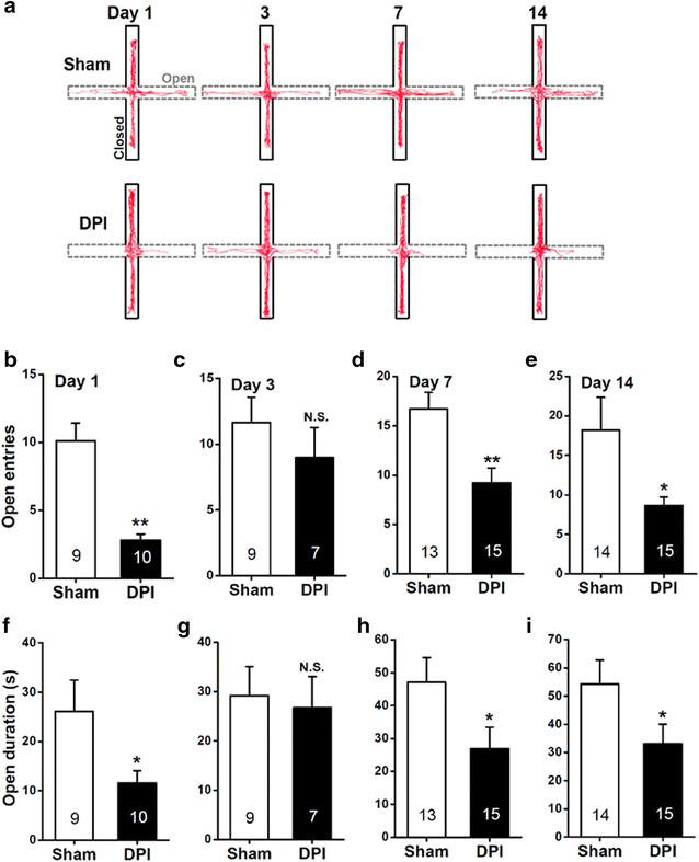 Fig. 1