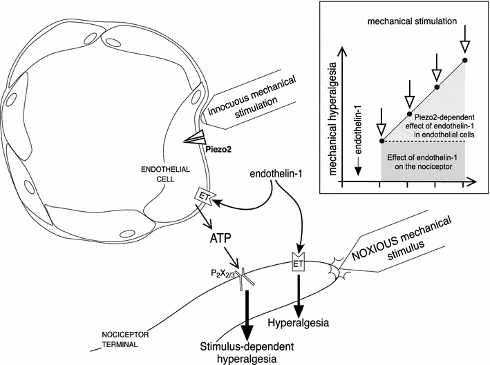 Fig. 5