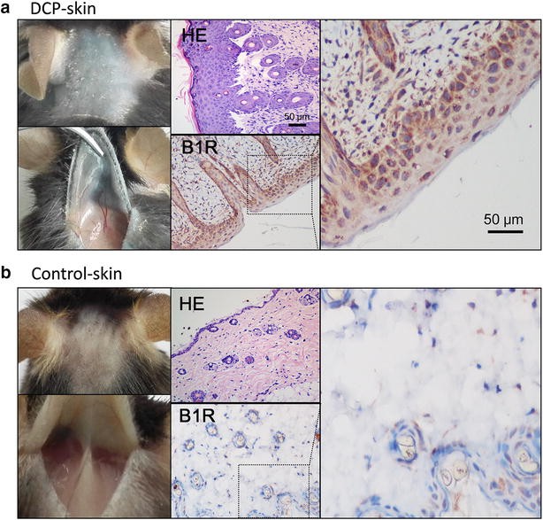 Fig. 4