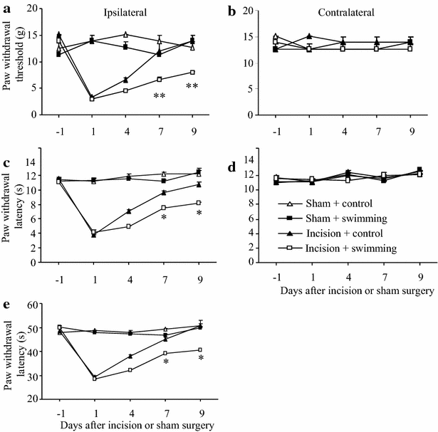 Fig. 5