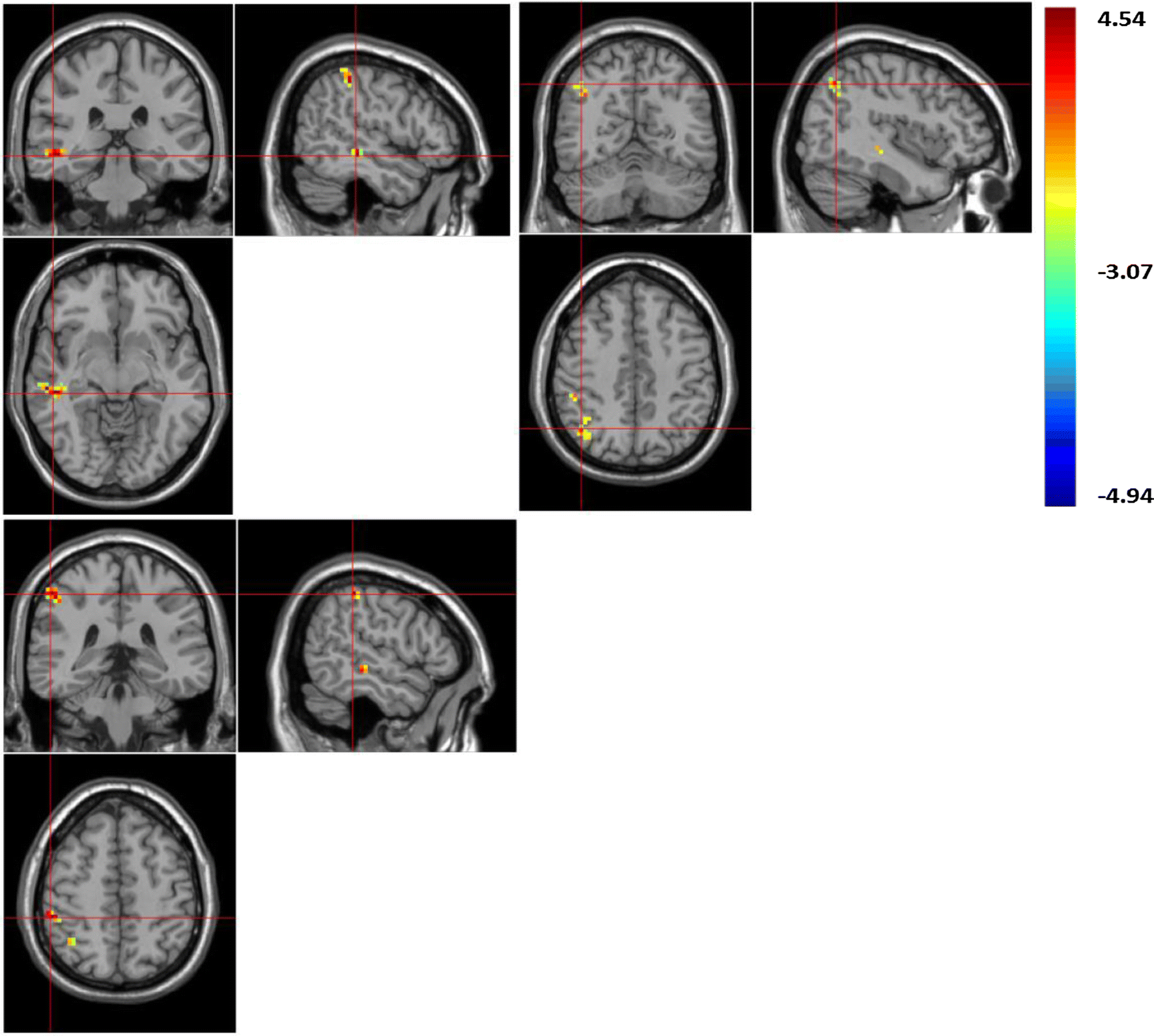 Fig. 2