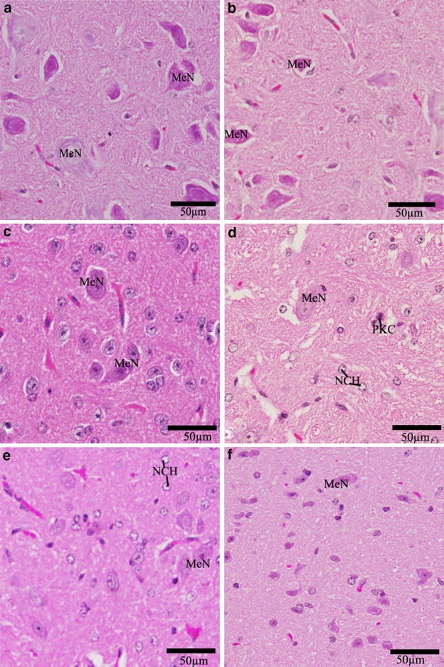 Fig. 8