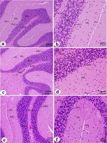 Fig. 7