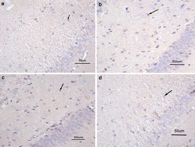 Fig. 8