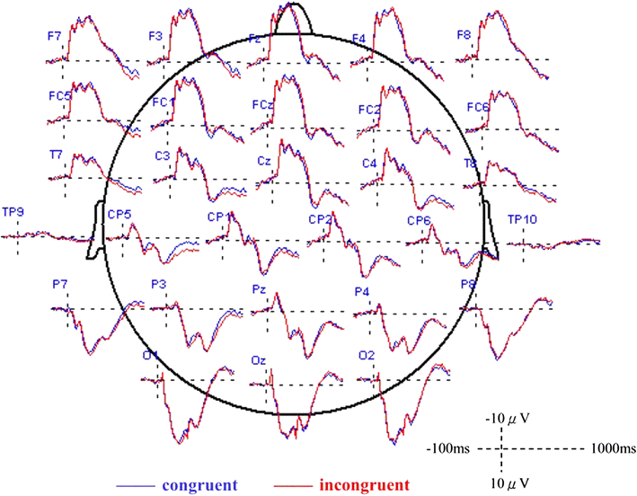 Fig. 2