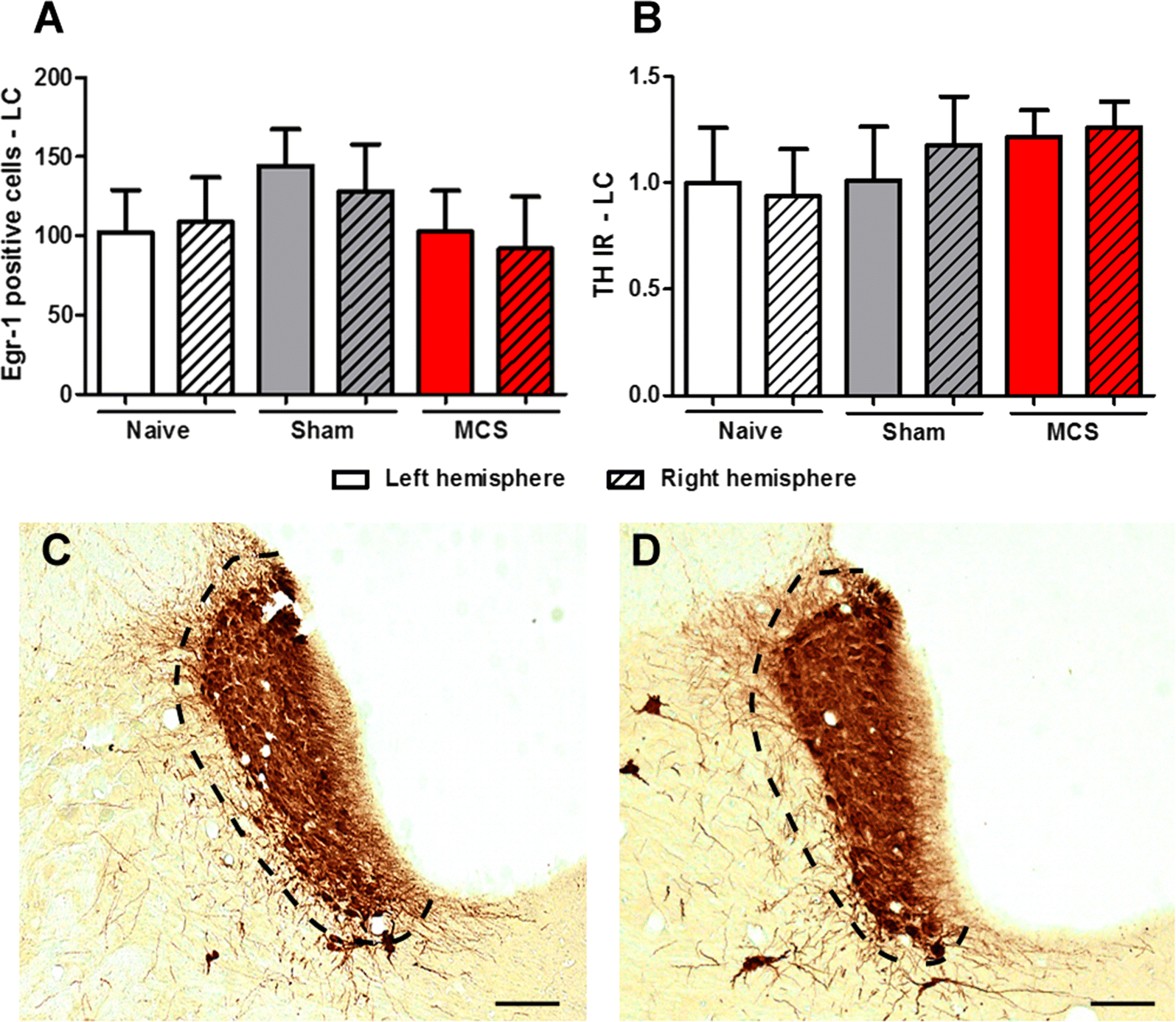 Fig. 4