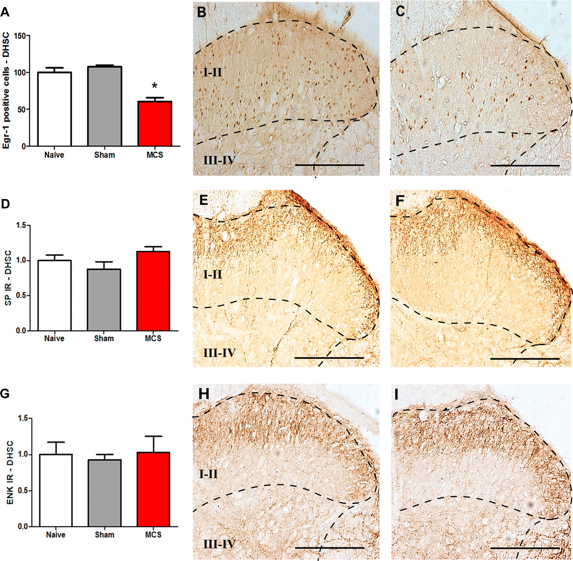 Fig. 5