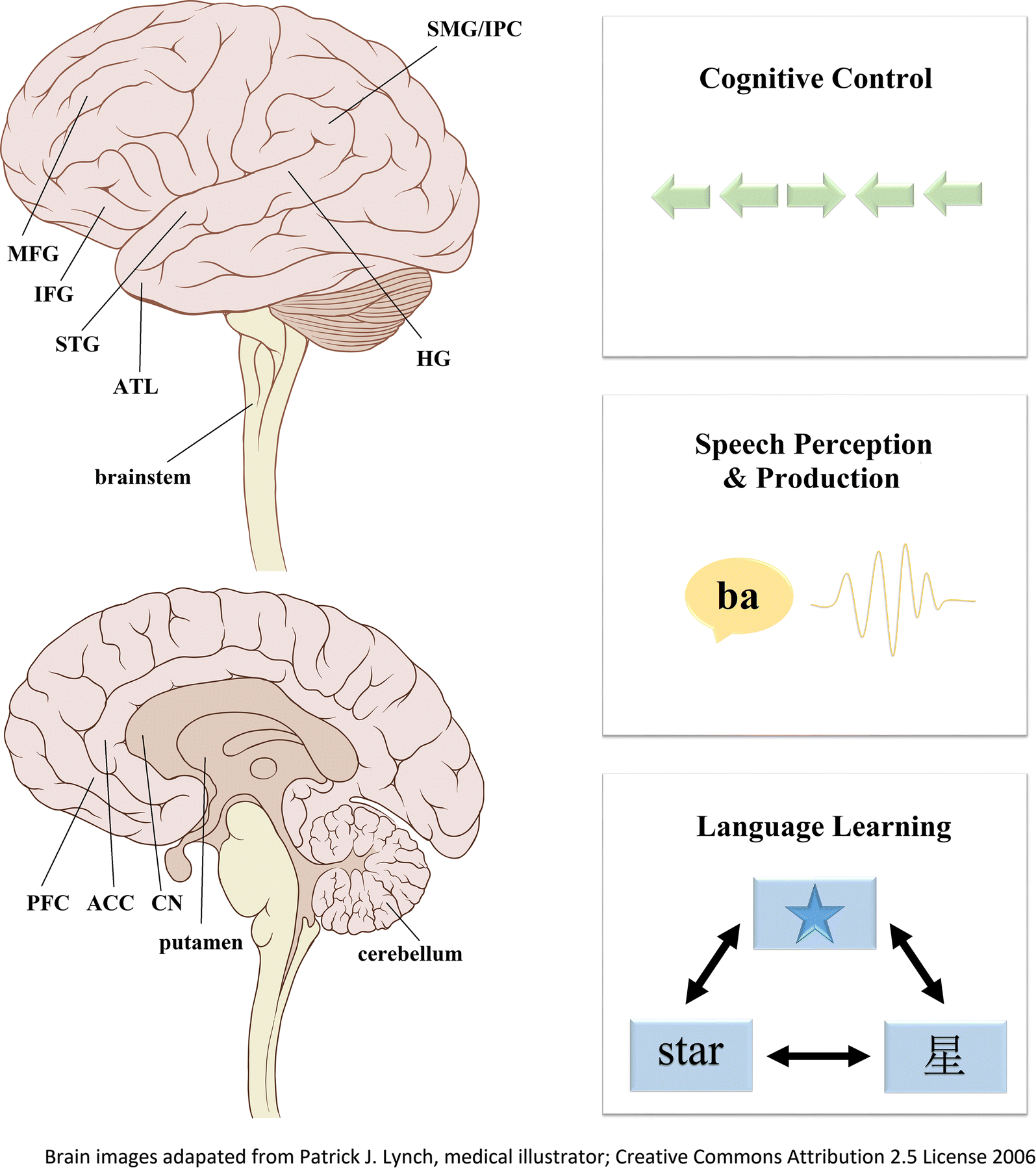 Fig. 1