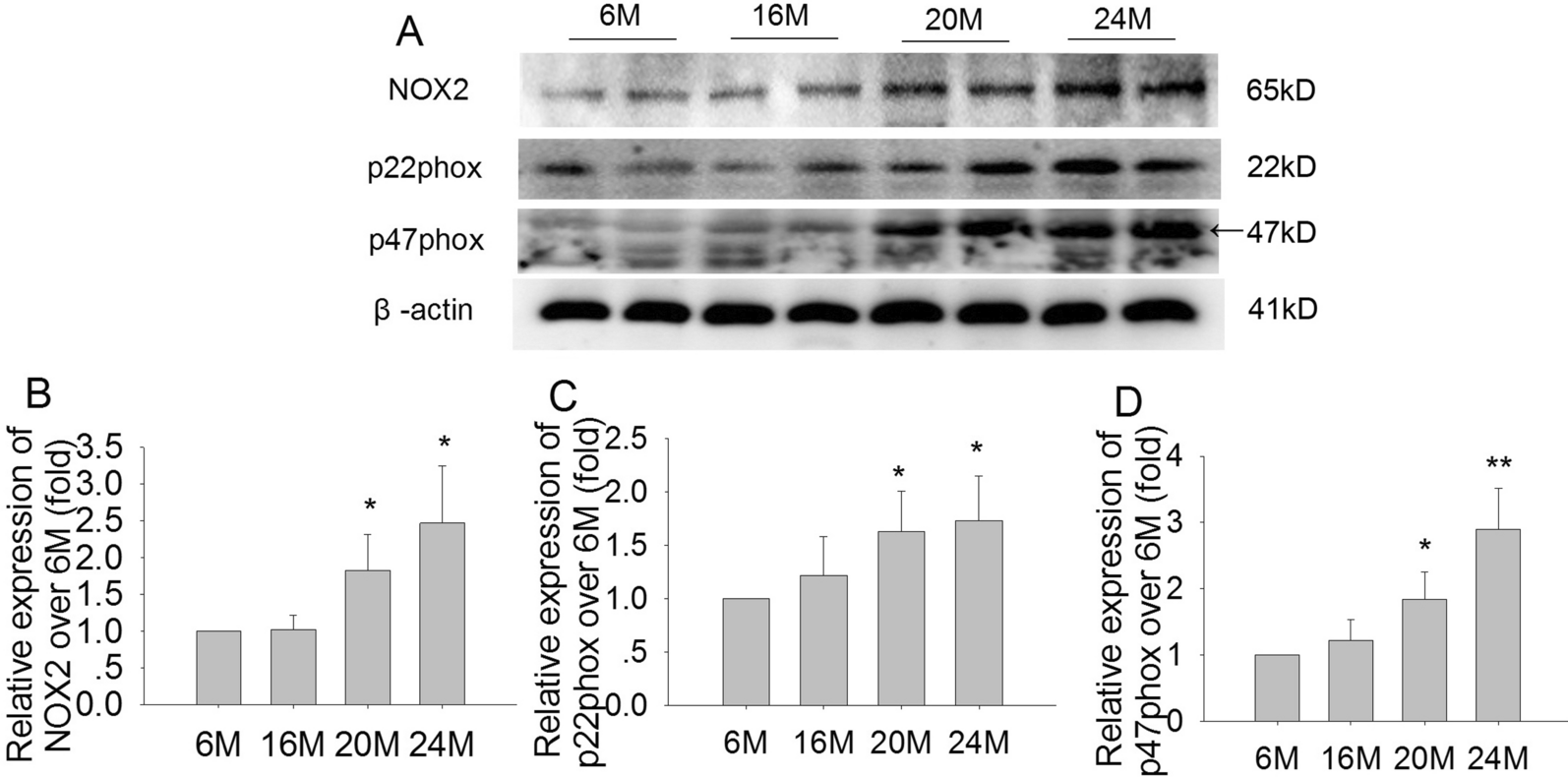 Fig. 8