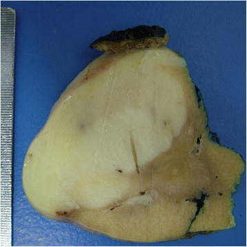 Fig. 8