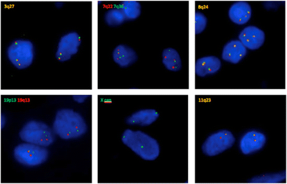 Fig. 3