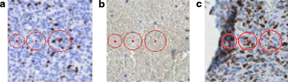 Fig. 3