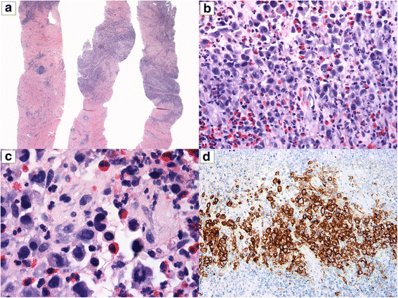 Fig. 2