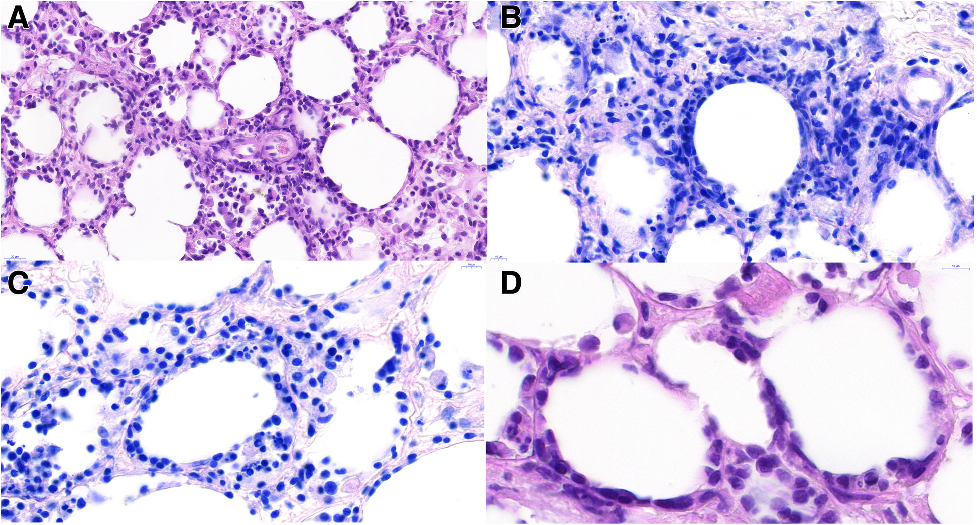 Fig. 2