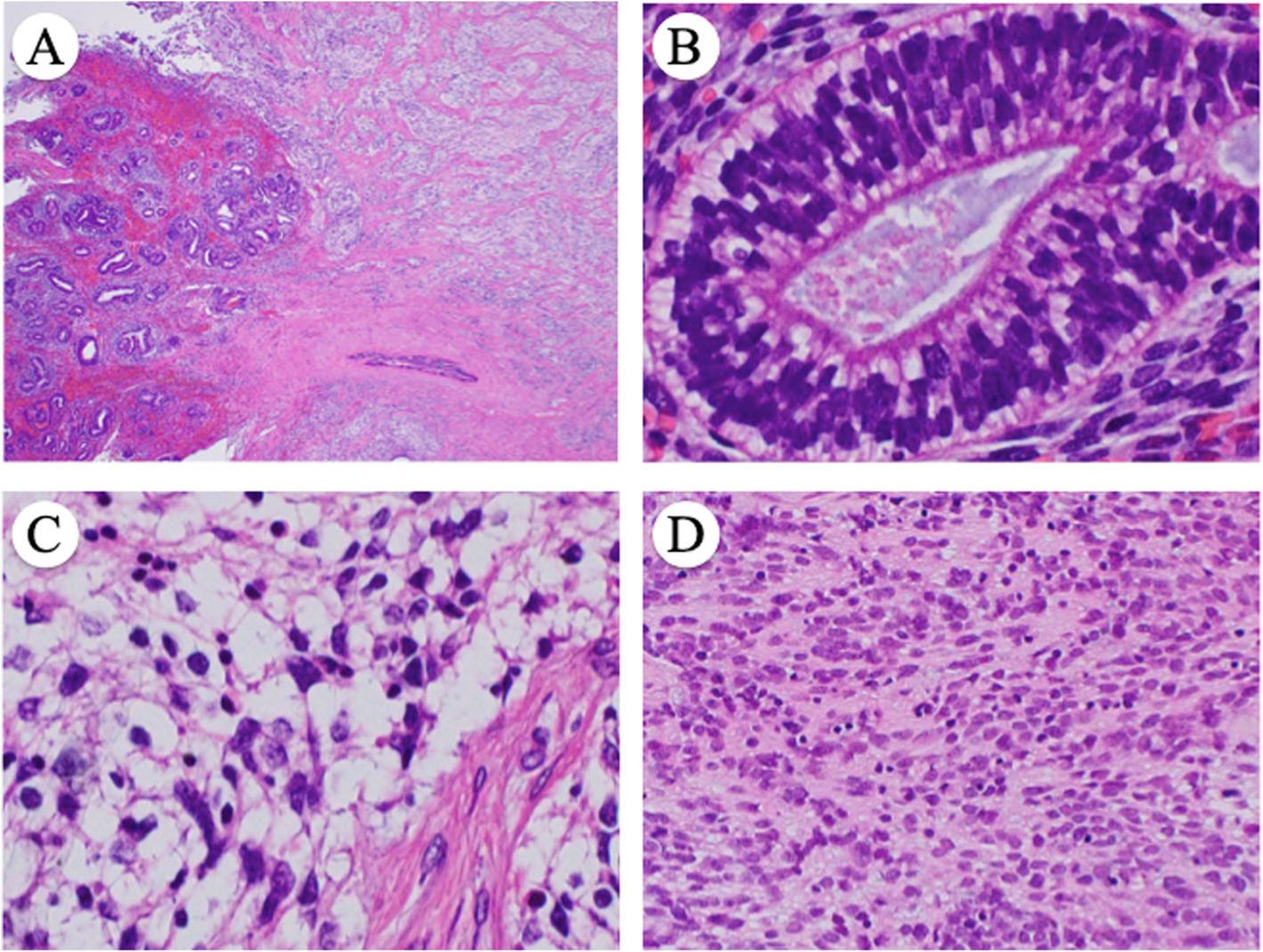 Fig. 2