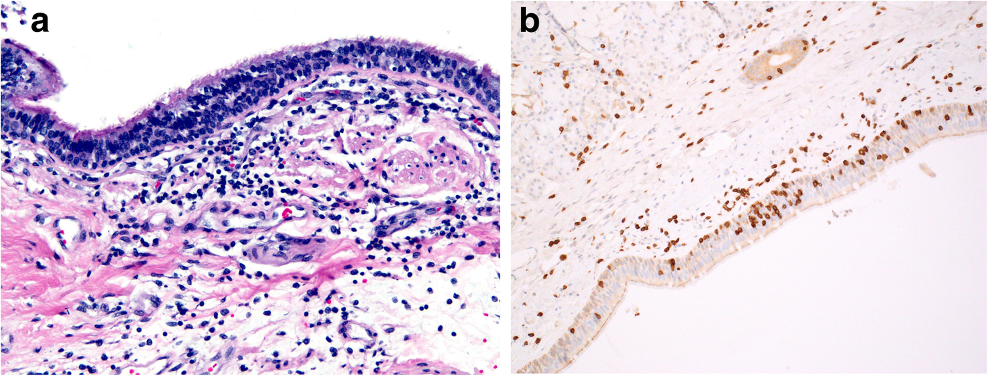 Fig. 8