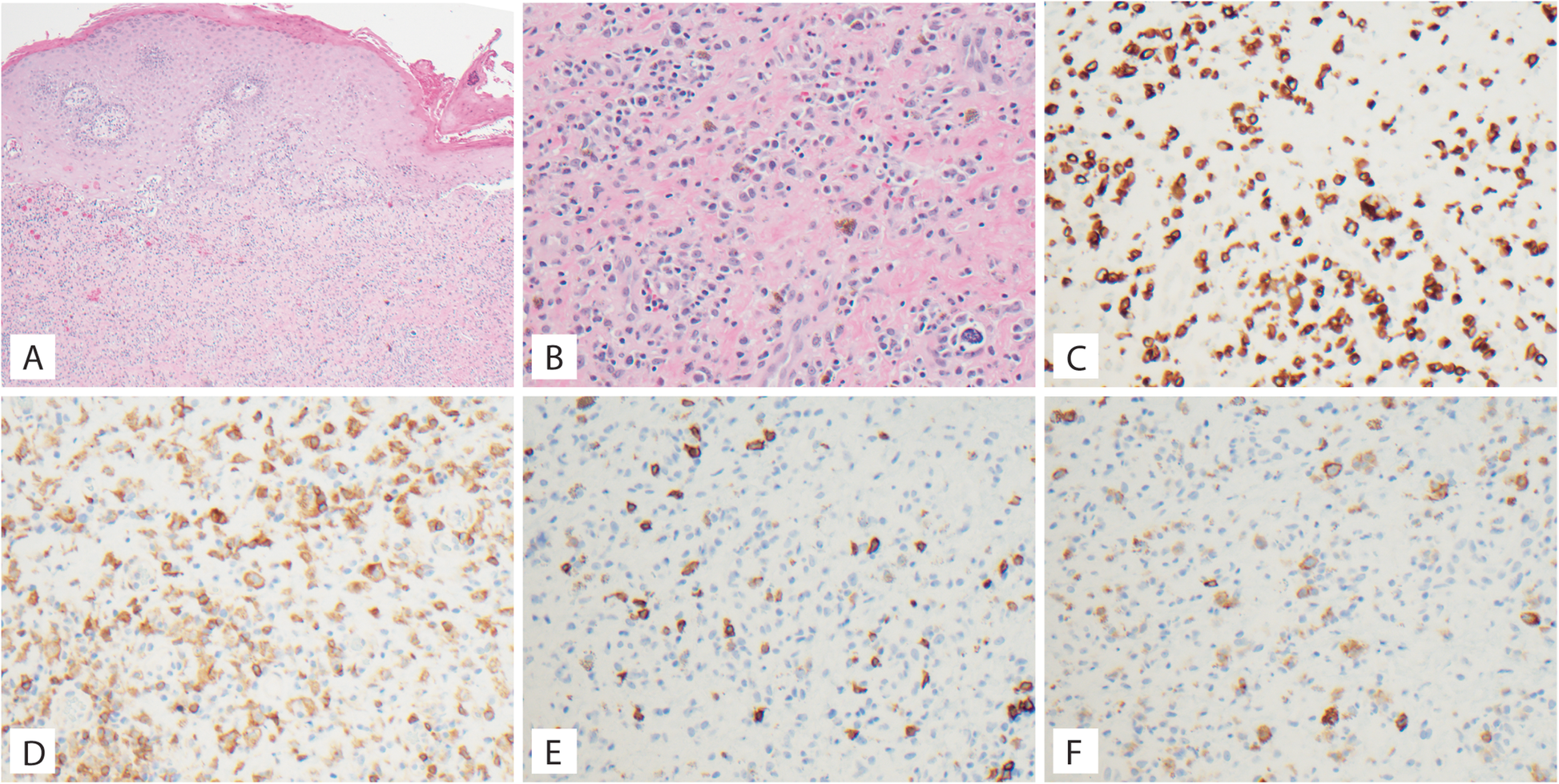 Fig. 7