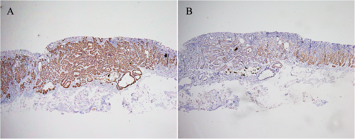 Fig. 5