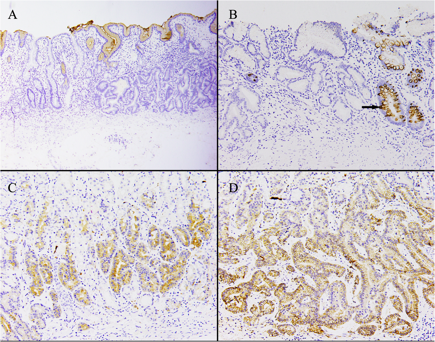 Fig. 6