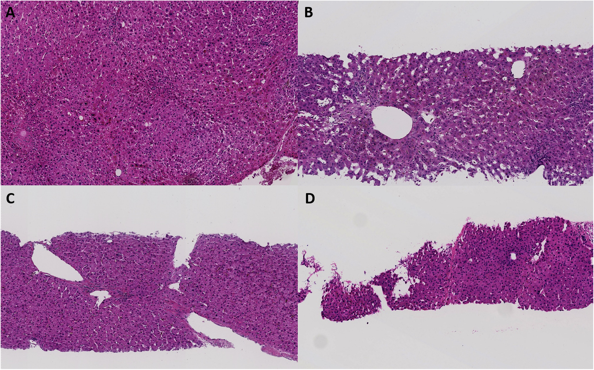 Fig. 2