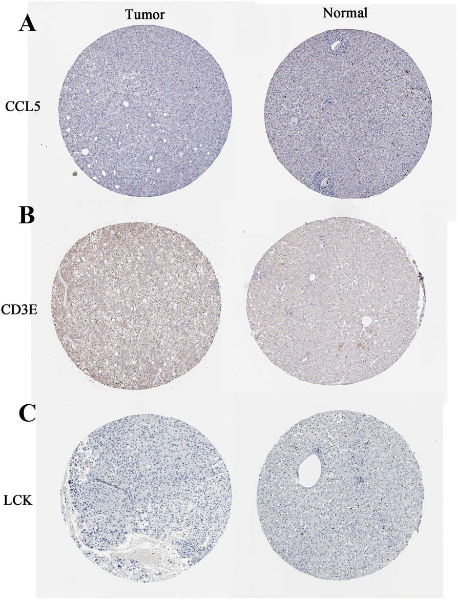 Fig. 11