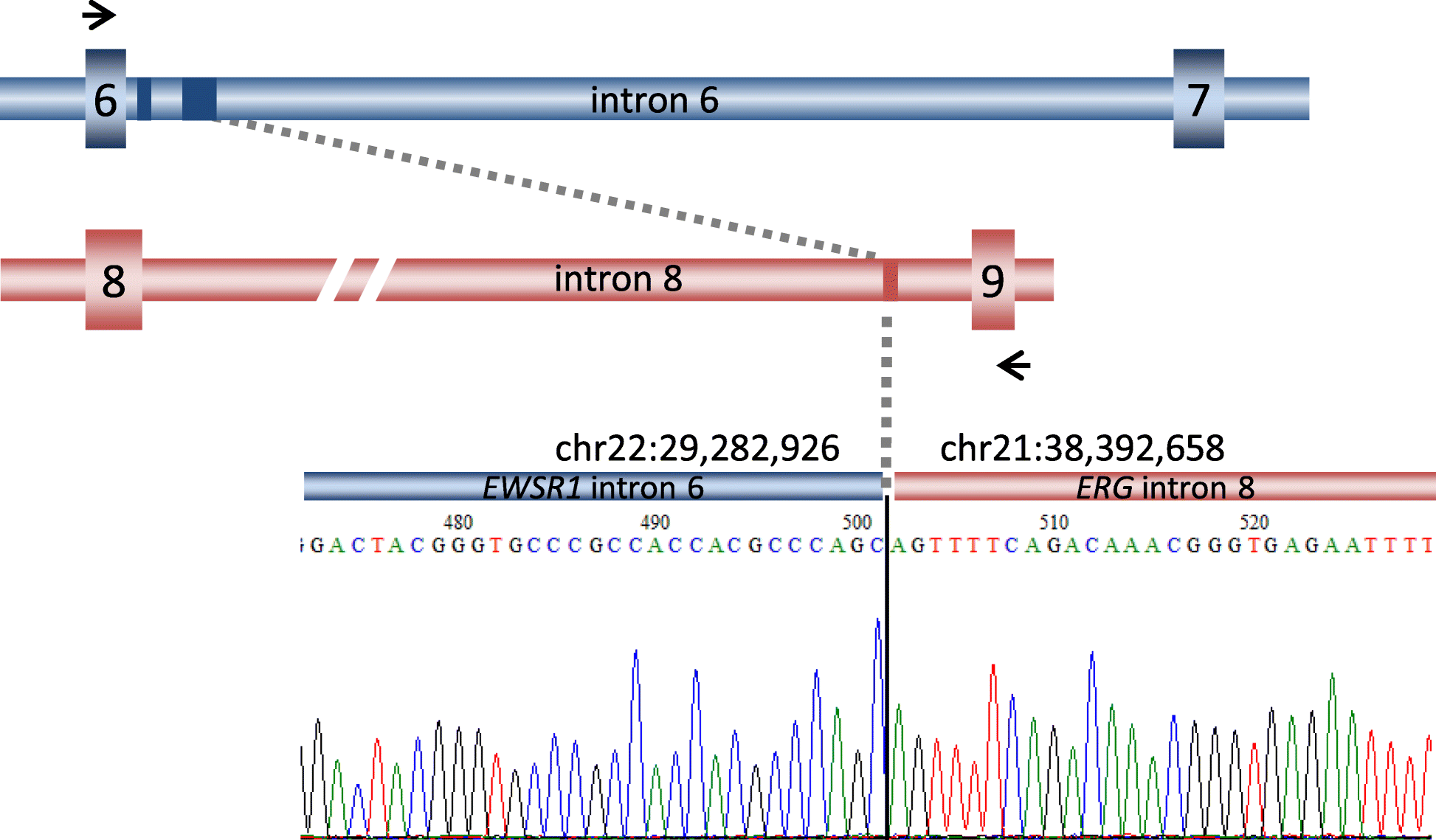 Fig. 6