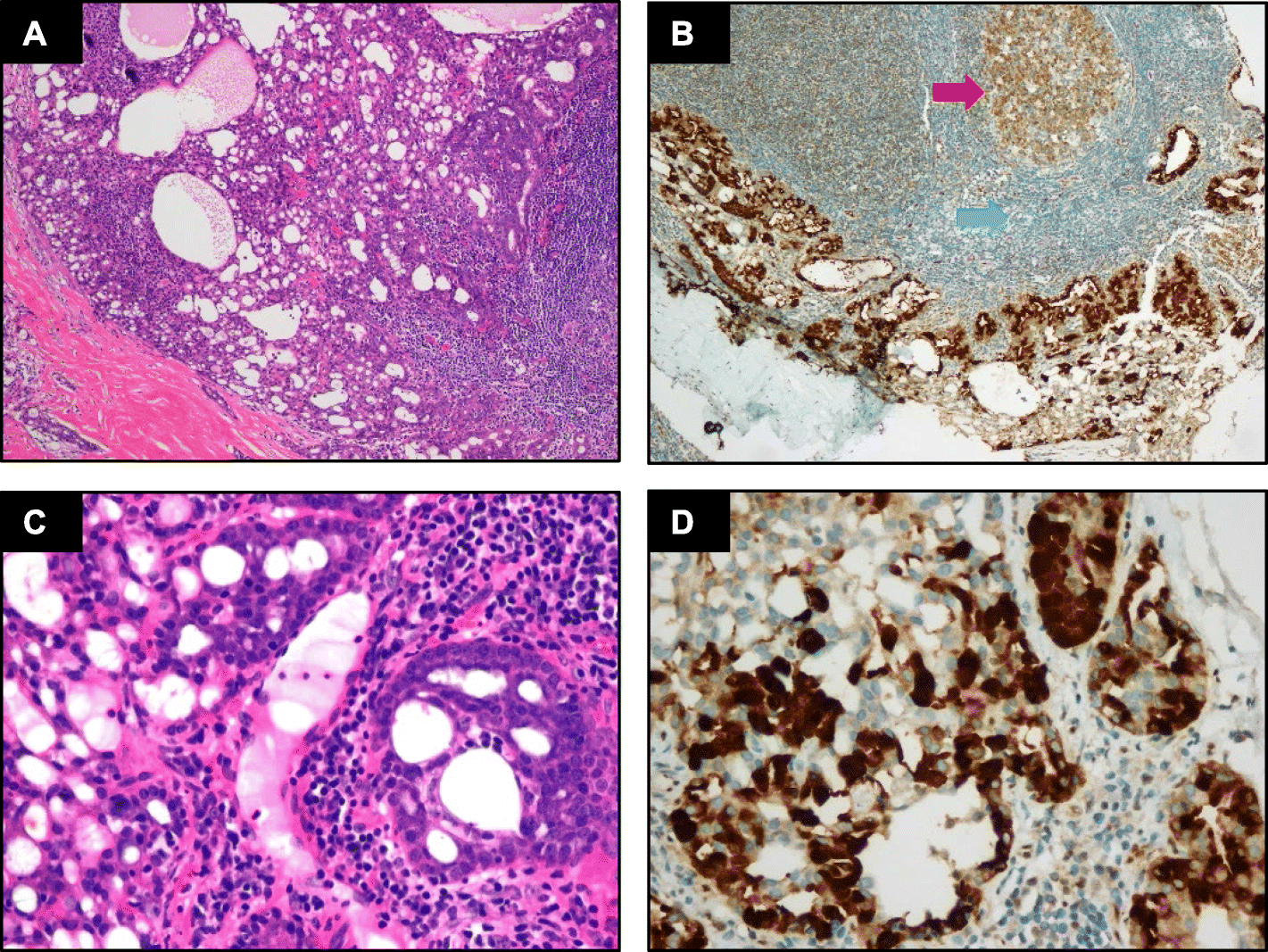 Fig. 4