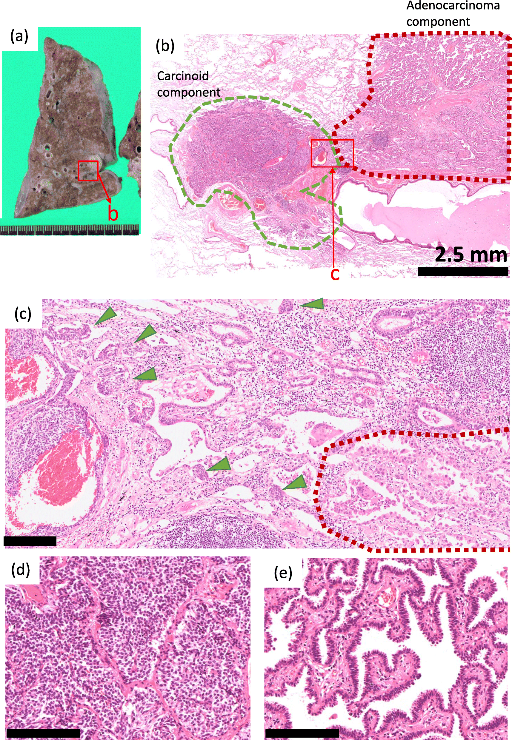 Fig. 2