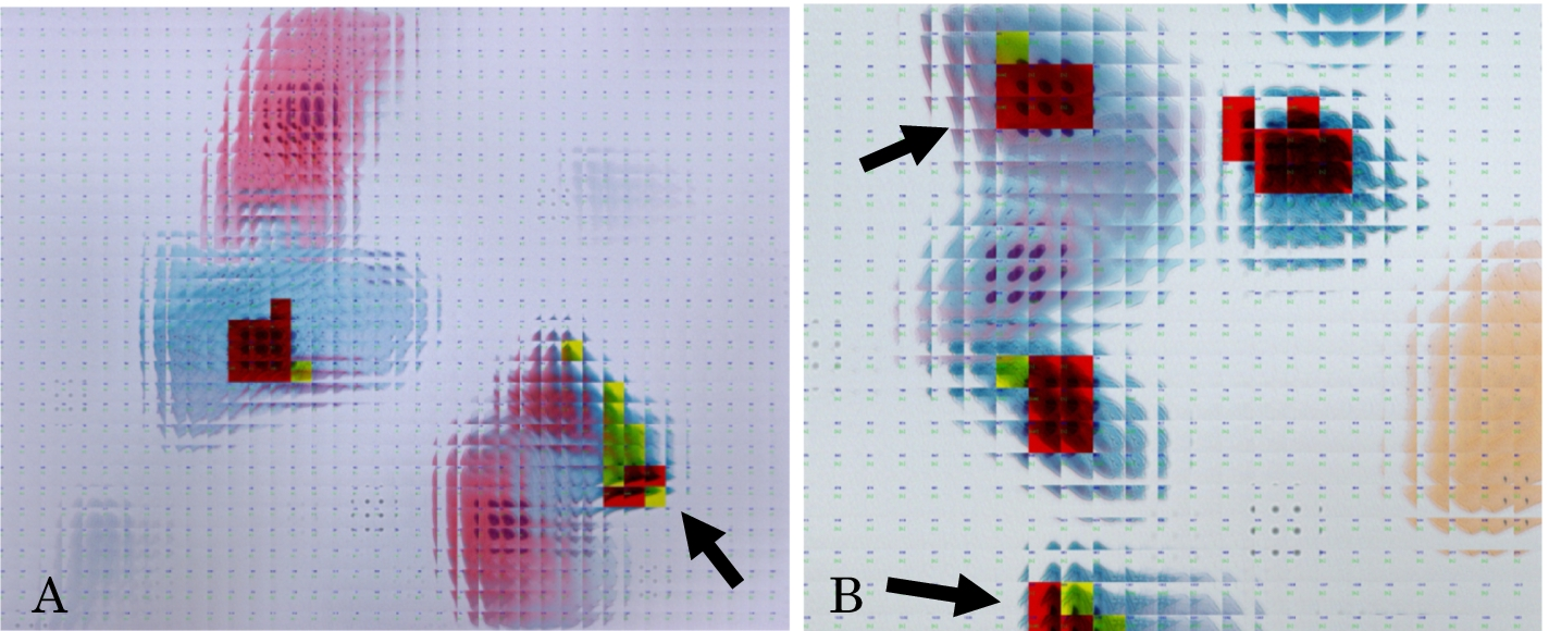 Fig. 3