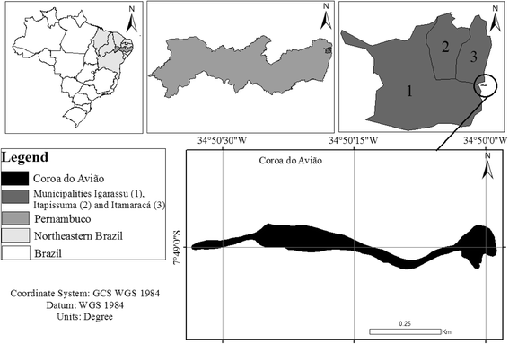 Fig. 1