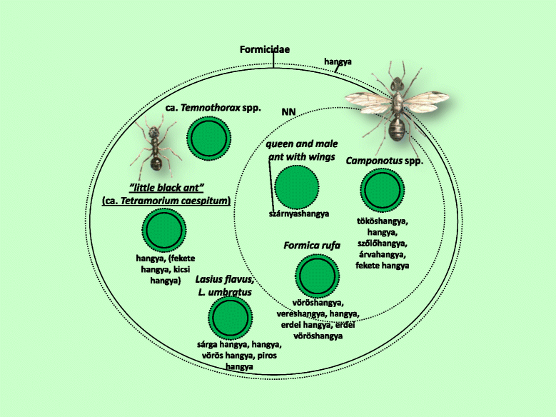 Fig. 11