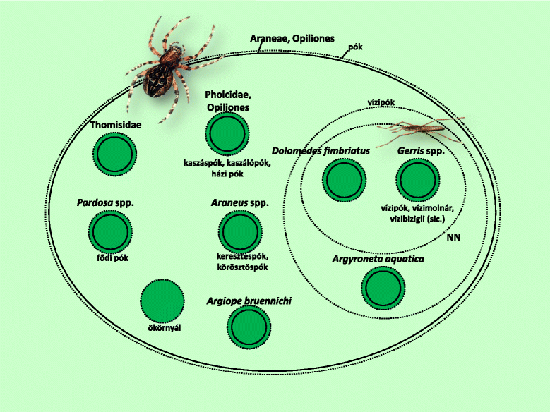 Fig. 8