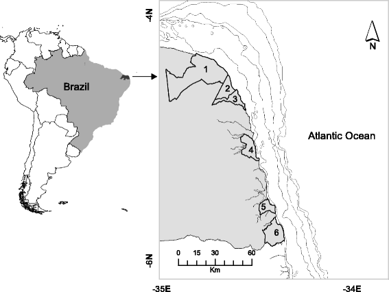 Fig. 1