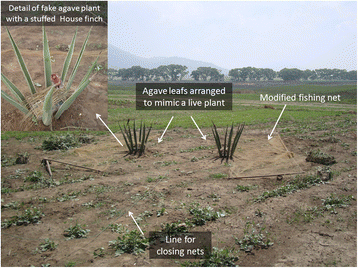 Fig. 11