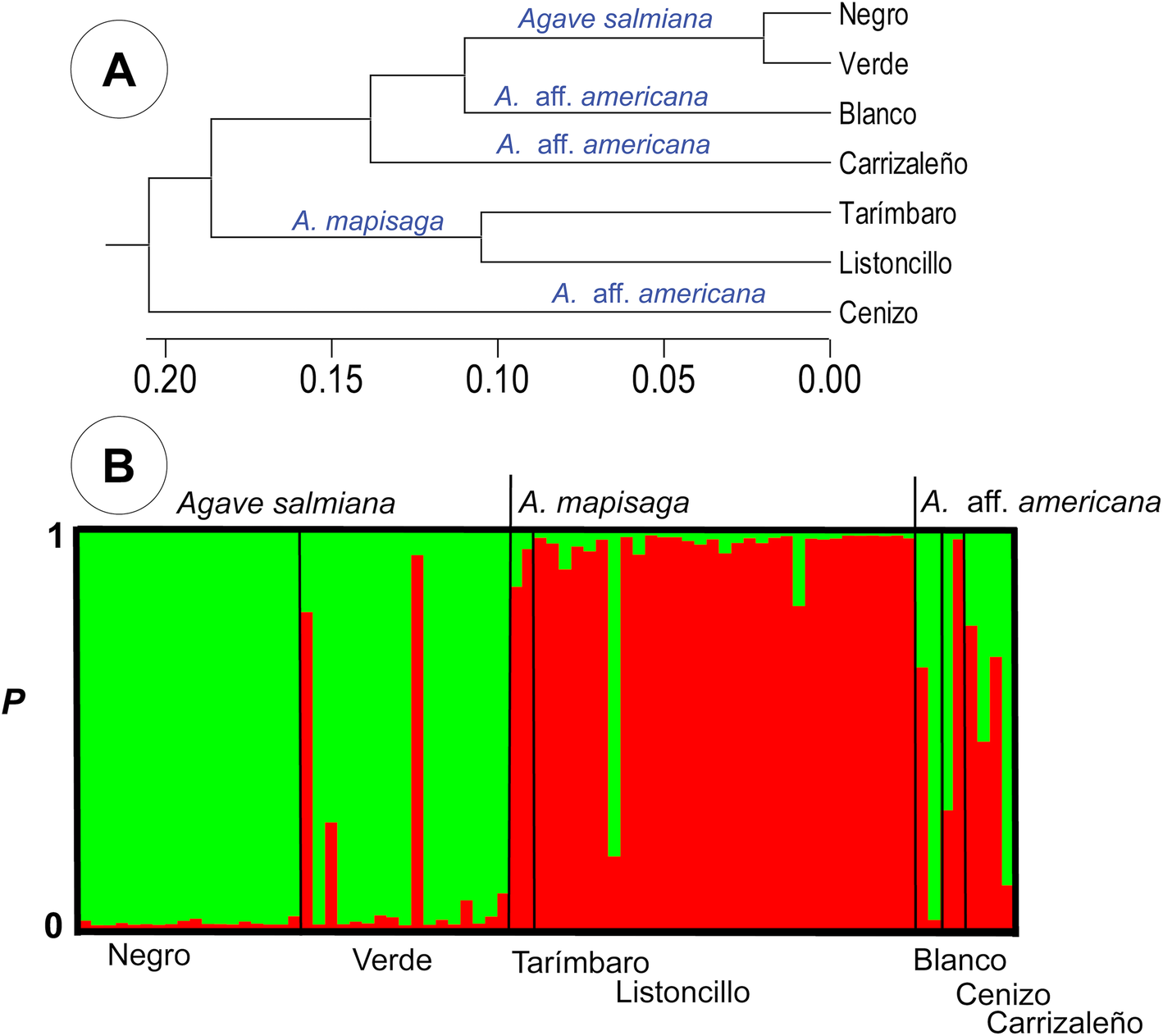 Fig. 6