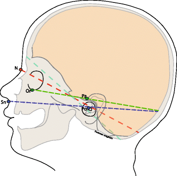 Fig. 5