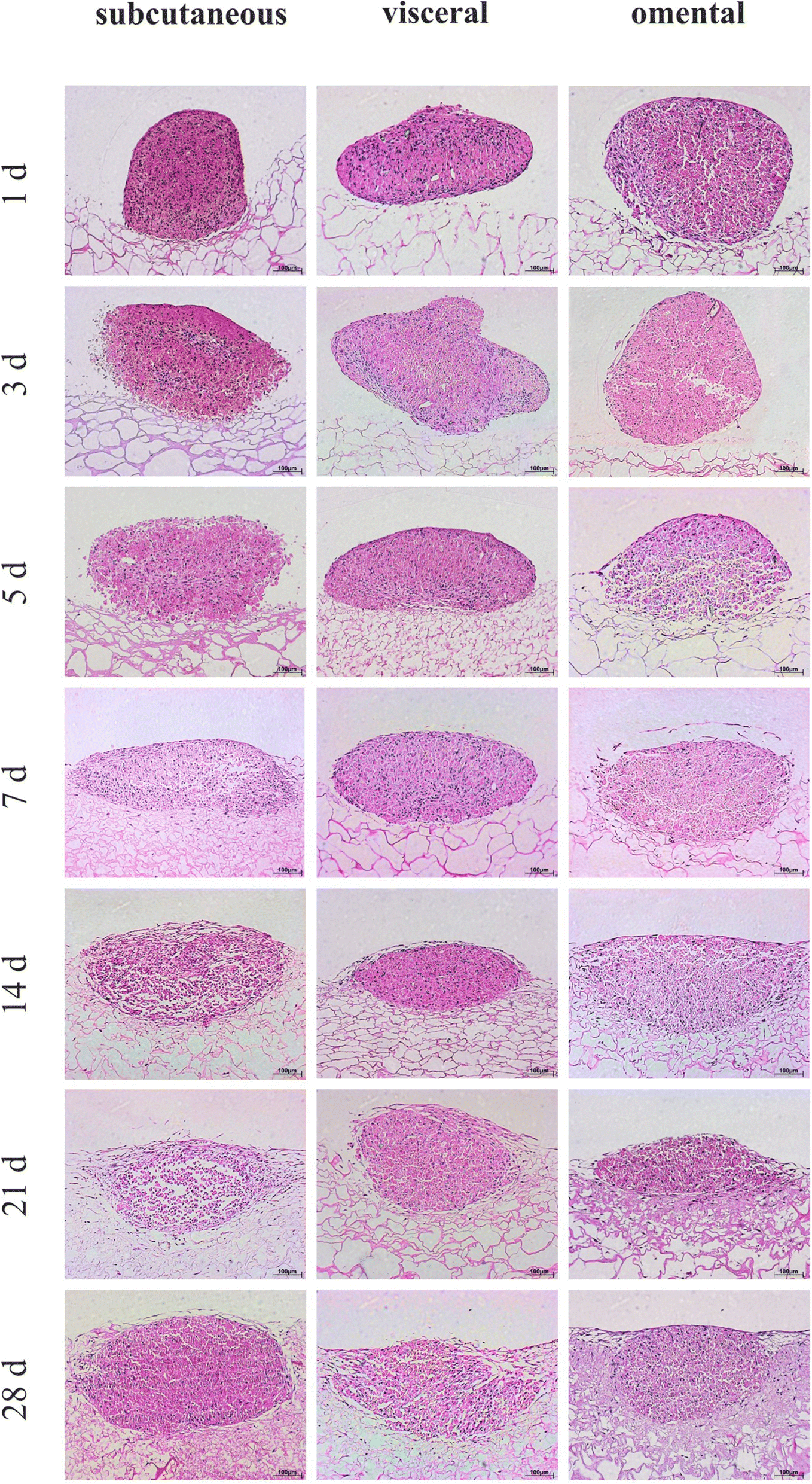 Fig. 7