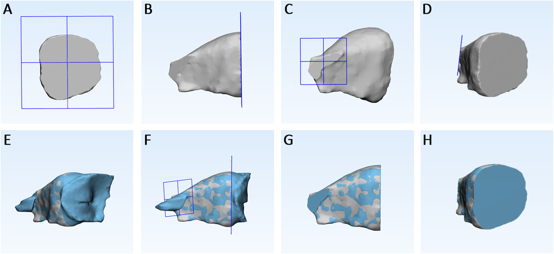 Fig. 6