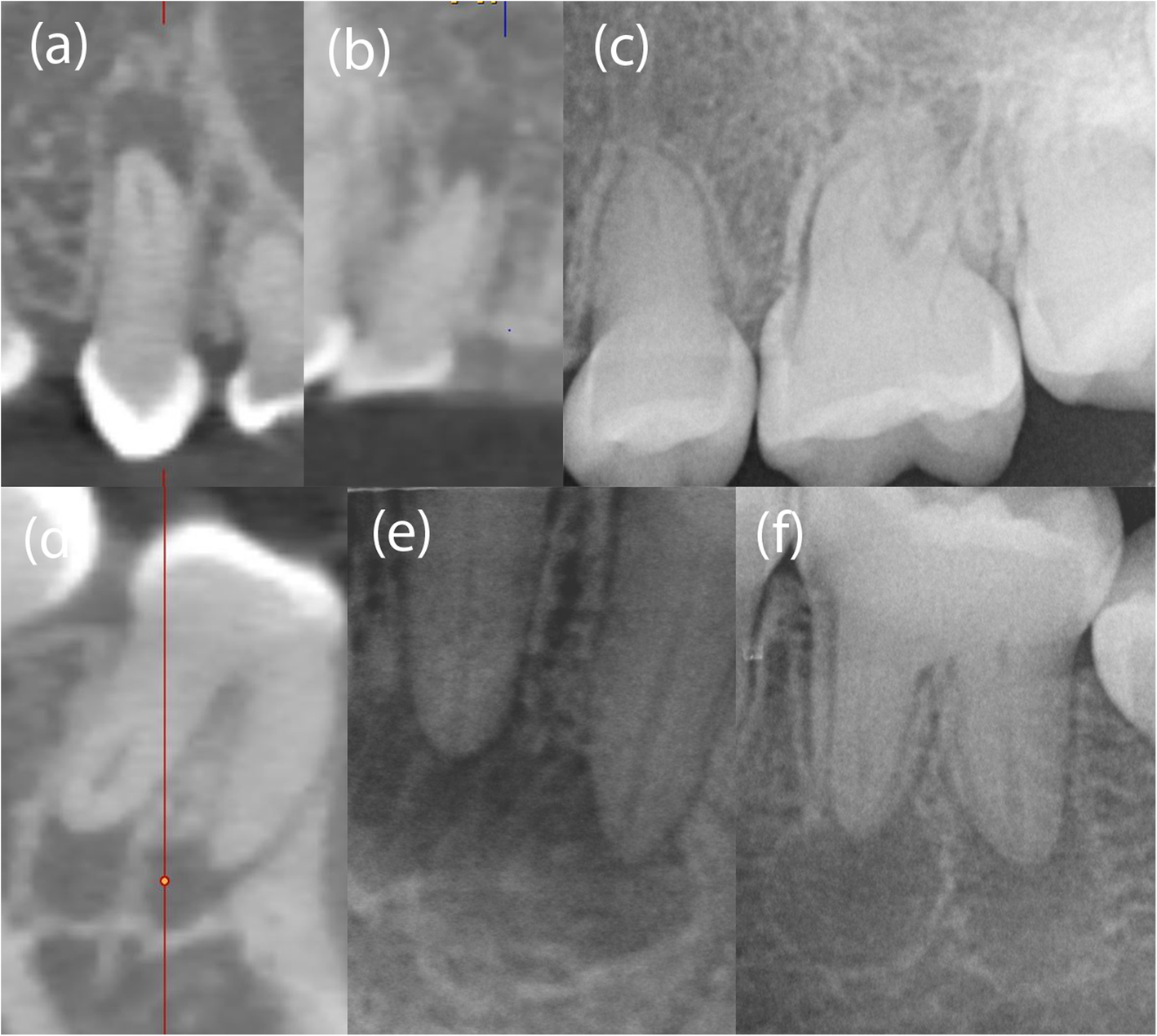 Fig. 3