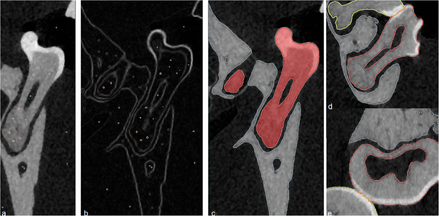 Fig. 2