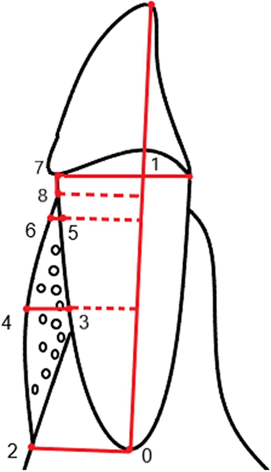 Fig. 2