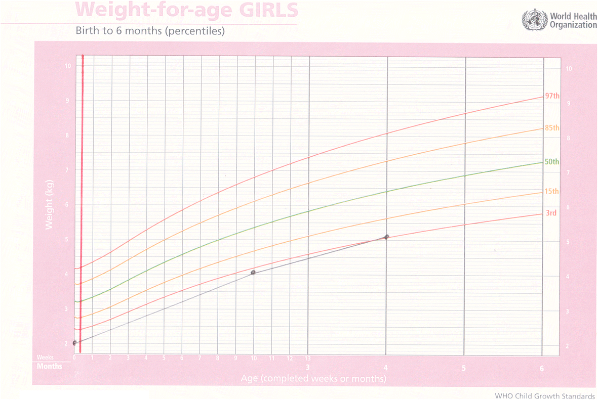 Fig. 5