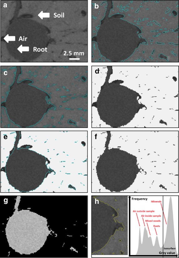 Fig. 2