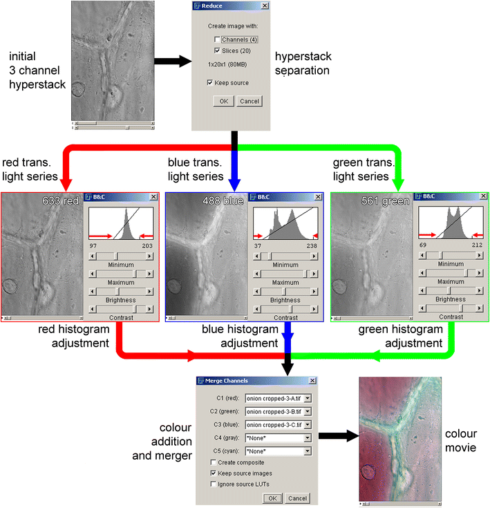 Fig. 3